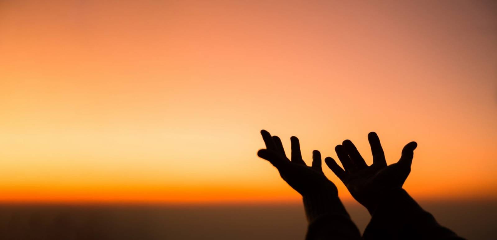 “ We don’t see things as they are, we see them as we are “