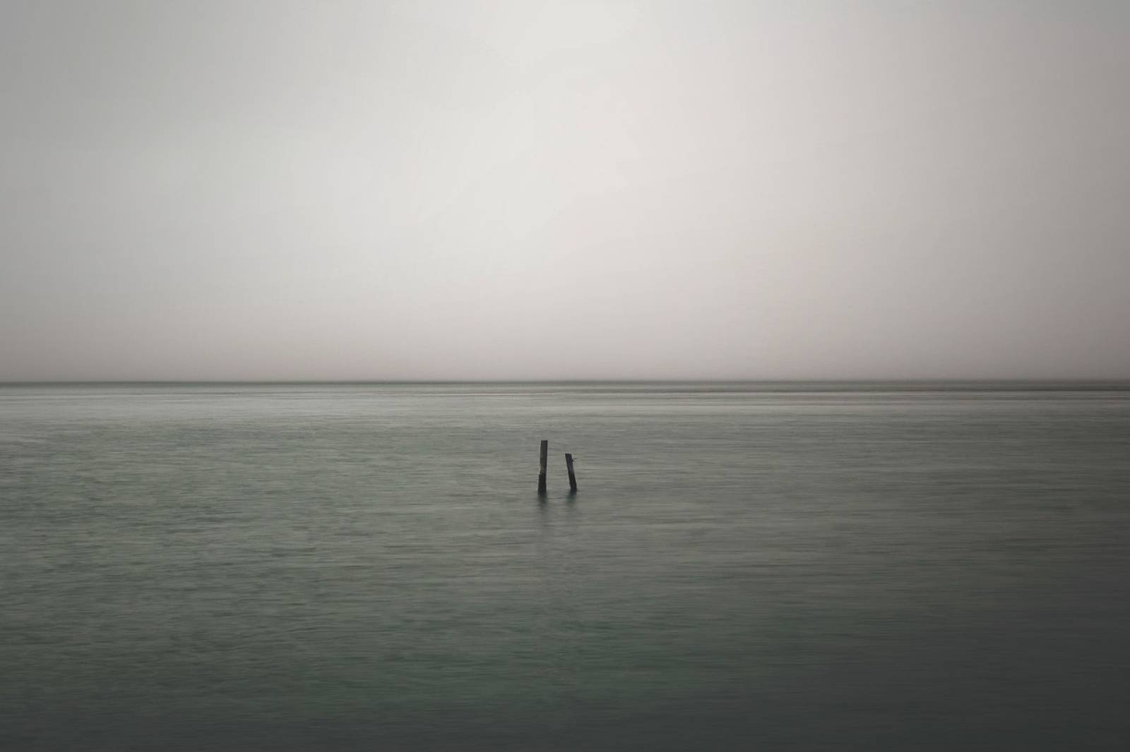 Naturopathe pour bilan vitalité avec programme adapté à Roquebrune-sur-Argens Var 83