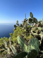 Notre zone d'activité pour ce service Naturopathe autour de moi à