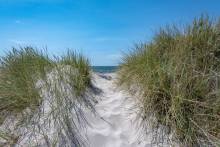 Notre zone d'activité pour ce service Naturopathe pour traiter l'allergie respiratoire à