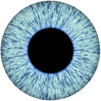 Notre zone d'activité pour ce service Naturopathe avec tarifs pour un bilan de vitalité à