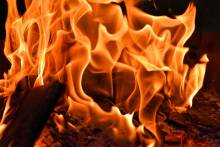 Nos prestations sur le secteur de Sainte-Maxime 83