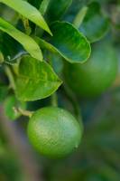 Notre zone d'activité pour ce service Naturopathe pour renforcer et stimuler l'autoguérison à