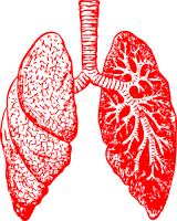 Nos prestations sur le secteur de Sainte-Maxime 83